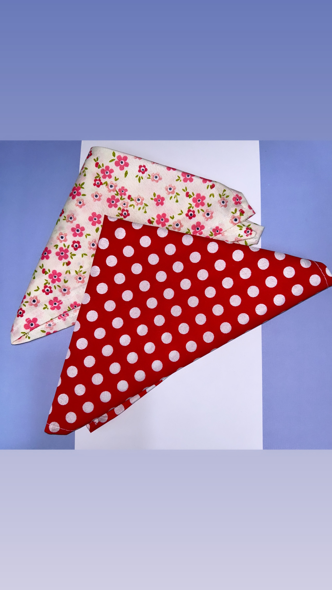 Imagen ilustrativa de Panuelo Negrita / Paisana