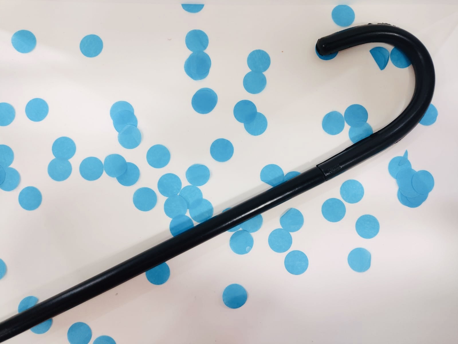 Imagen ilustrativa de Baston Plastico Caballero