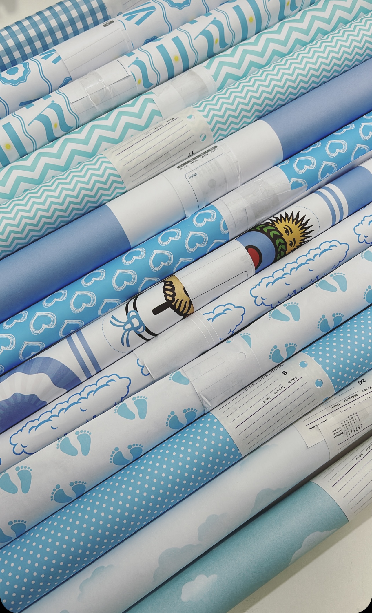 Imagen ilustrativa de Cartulina modelos Patrios