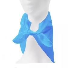 Imagen ilustrativa de Pañuelo Patrio Celeste/Blanco