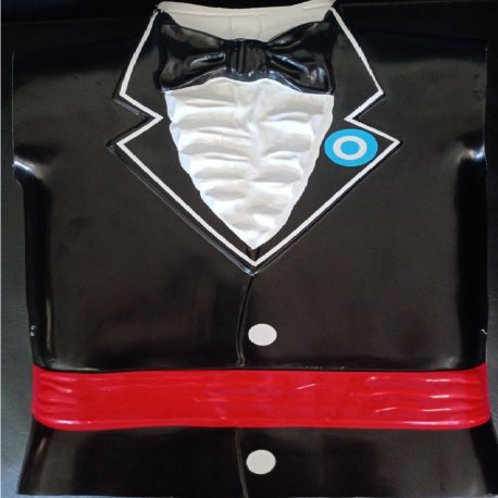 Imagen ilustrativa de Pechera plastica Caballero